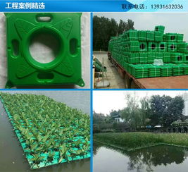江蘇人工生態浮島與廊坊聚格塑料制品廠戶外地板應用圖解