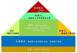 京東管理密碼 解碼劉強東的三大核心領導力法則